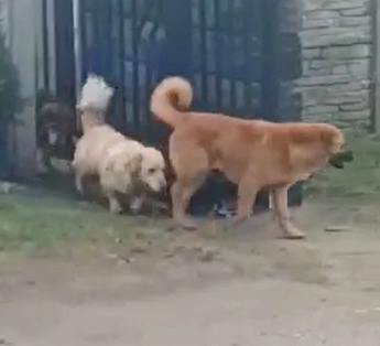 Poszukujemy...